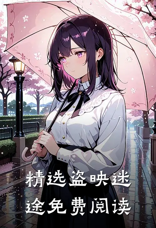 精选盗映迷途免费阅读