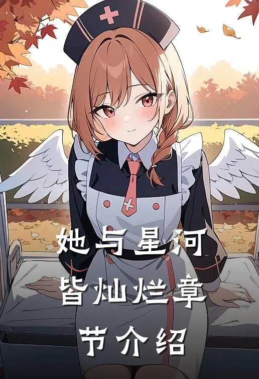 她与星河皆灿烂章节介绍