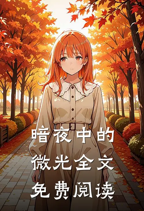 暗夜中的微光全文免费阅读