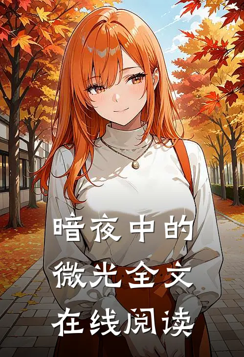 暗夜中的微光全文在线阅读