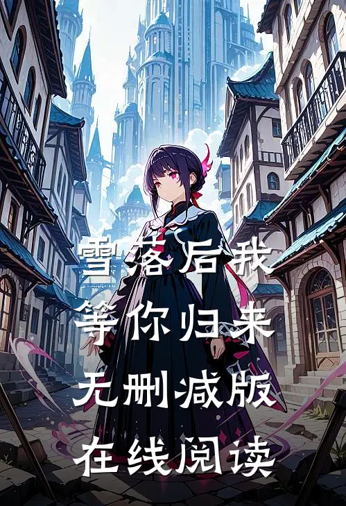 雪落后我等你归来无删减版在线阅读