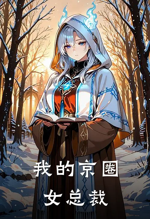 我的京圈女总裁