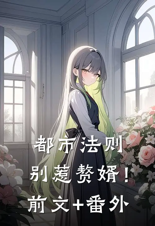都市法则：别惹赘婿！前文+番外