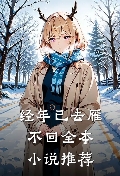 经年已去雁不回全本小说推荐