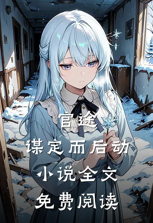 官途：谋定而后动小说全文免费阅读