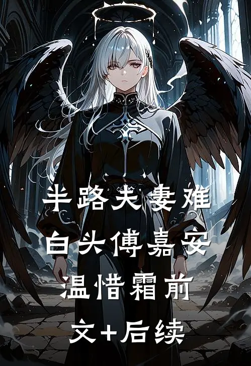 半路夫妻难白头傅嘉安温惜霜前文+后续