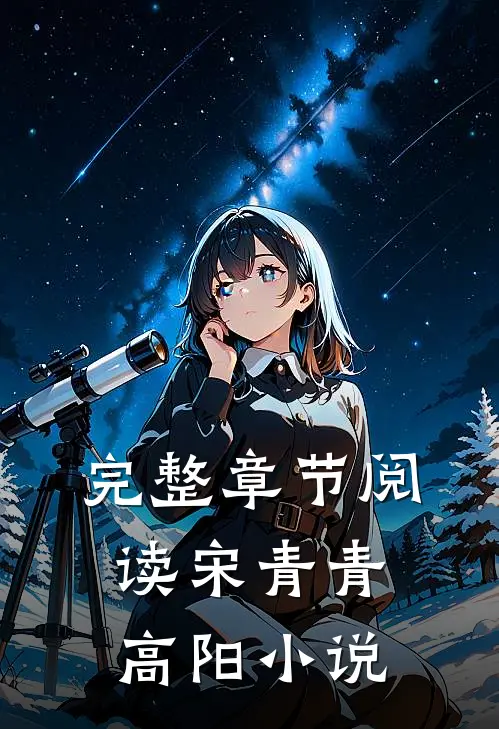完整章节阅读宋青青高阳小说