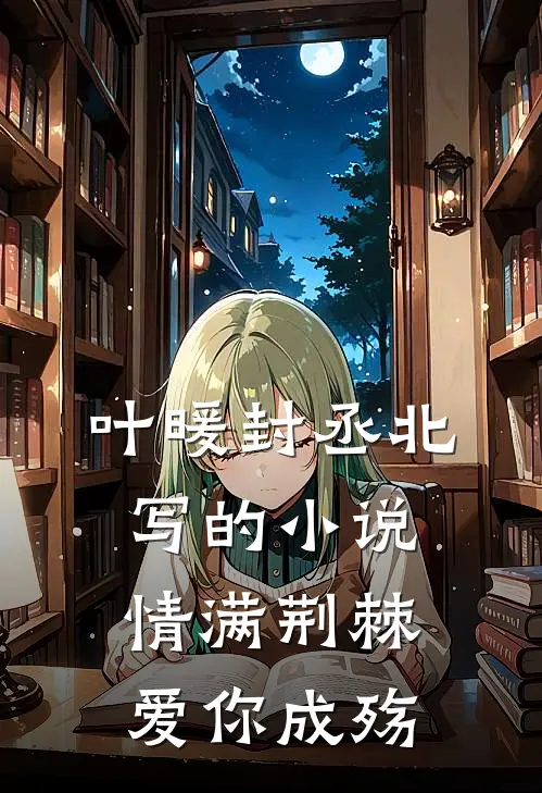 叶暖封丞北写的小说情满荆棘，爱你成殇