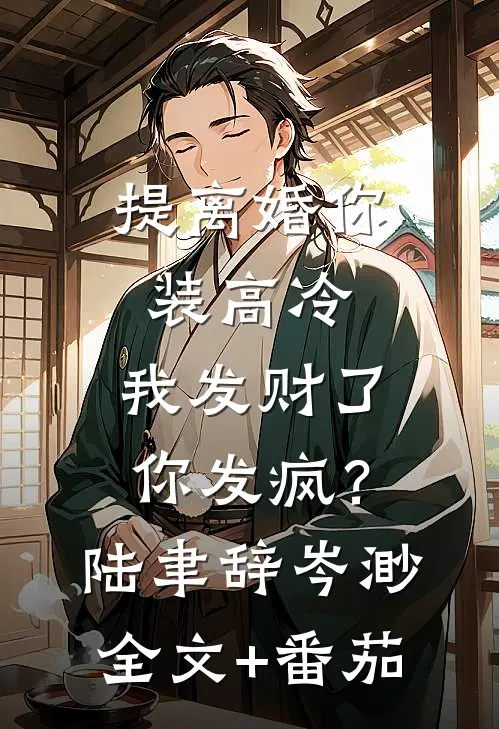 提离婚你装高冷，我发财了你发疯？陆聿辞岑渺全文+番茄
