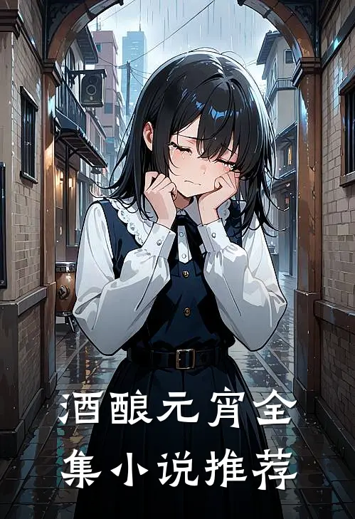 酒酿元宵全集小说推荐
