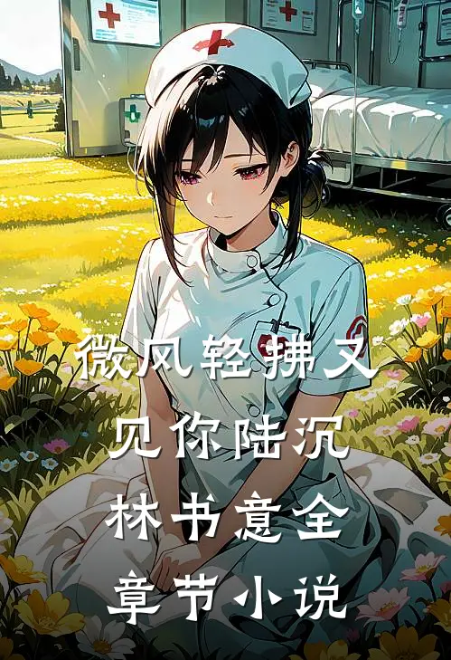 微风轻拂又见你陆沉林书意全章节小说