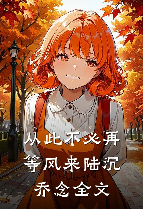 从此不必再等风来陆沉乔念全文