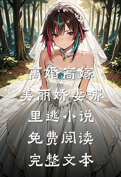 离婚高嫁:美丽娇妻哪里逃小说免费阅读完整文本