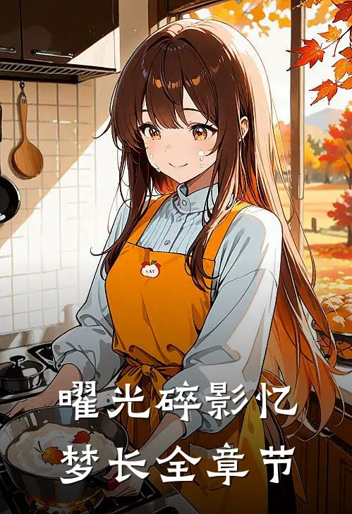 曜光碎影忆梦长全章节