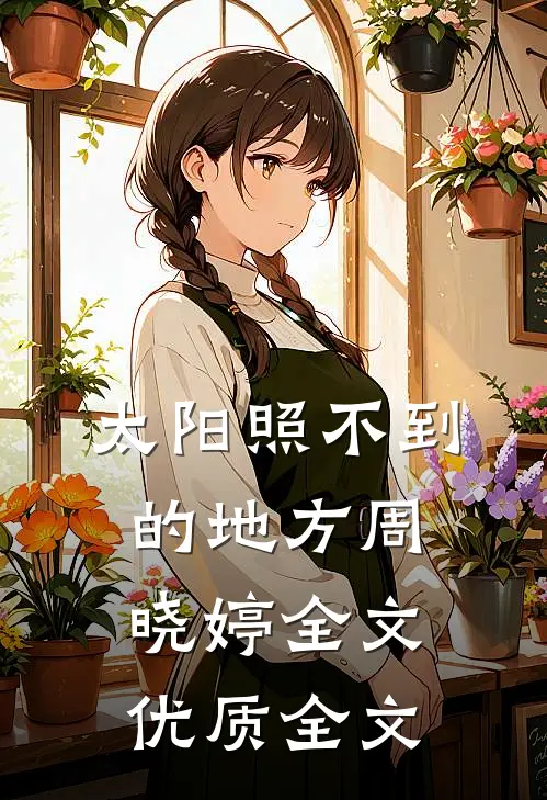 太阳照不到的地方周晓婷全文优质全文