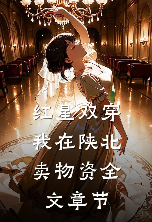 红星双穿：我在陕北卖物资全文章节
