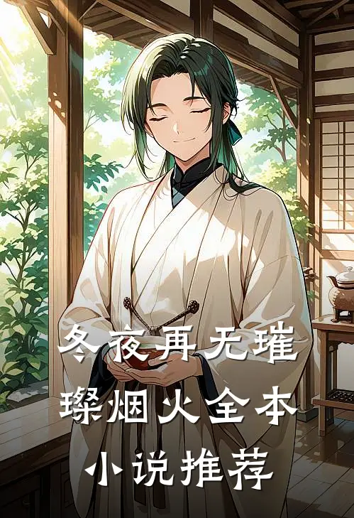 冬夜再无璀璨烟火全本小说推荐