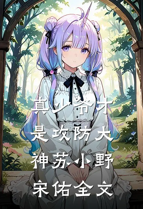真少爷才是攻防大神苏小野宋佑全文